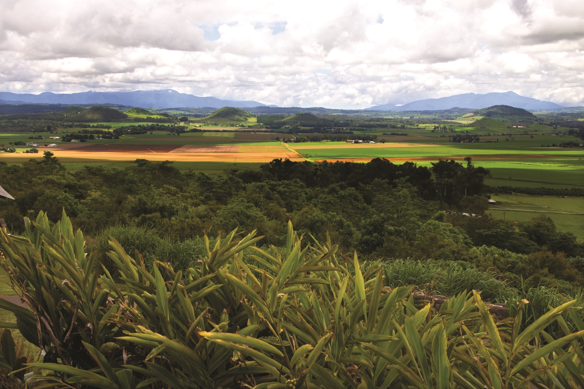Atherton, Atherton Tablelands, Tropical North Queensland