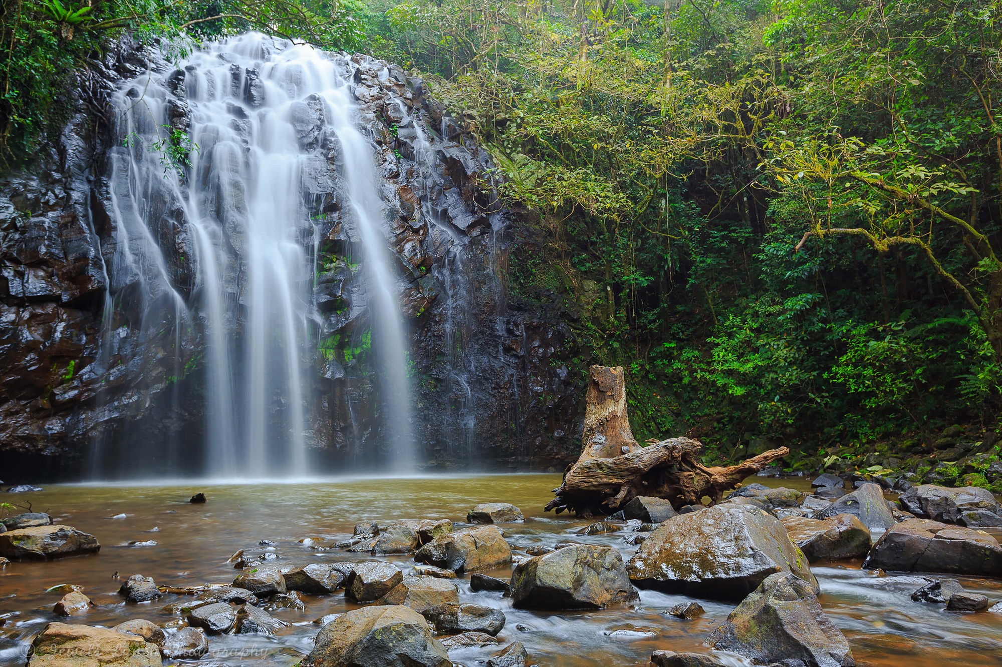 Atherton Tablelands Discover Visitors Guide Brochure Request