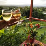 Experience the Atherton Tablelands Craft Distilleries and Wineries - golden drop by barefootbranding