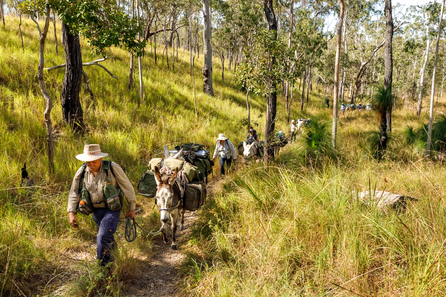 Wilderness Expeditions