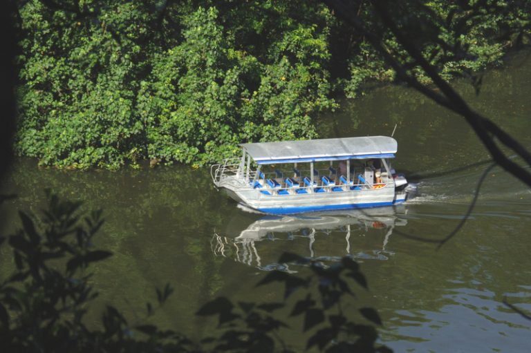 Daintree River Cruises, Daintree River, Tropical North Quensland